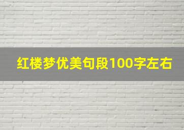 红楼梦优美句段100字左右