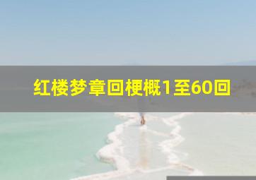 红楼梦章回梗概1至60回