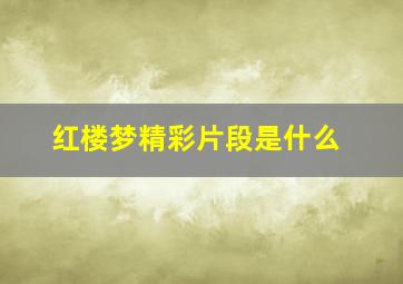 红楼梦精彩片段是什么