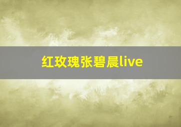 红玫瑰张碧晨live