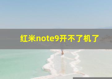 红米note9开不了机了