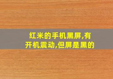 红米的手机黑屏,有开机震动,但屏是黑的