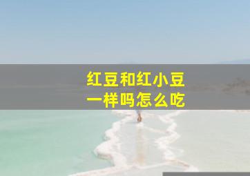 红豆和红小豆一样吗怎么吃