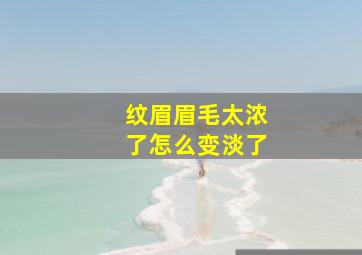 纹眉眉毛太浓了怎么变淡了