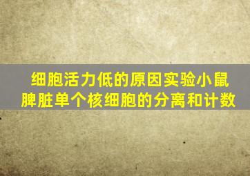 细胞活力低的原因实验小鼠脾脏单个核细胞的分离和计数