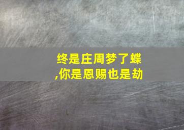 终是庄周梦了蝶,你是恩赐也是劫