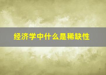 经济学中什么是稀缺性