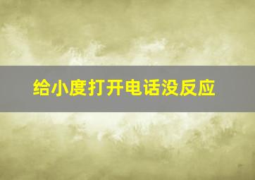 给小度打开电话没反应