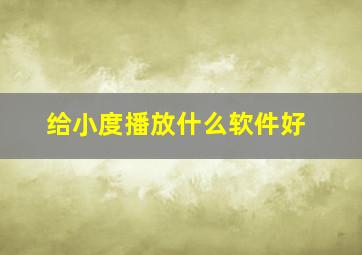 给小度播放什么软件好