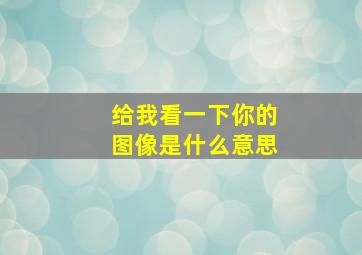 给我看一下你的图像是什么意思