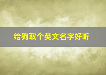 给狗取个英文名字好听