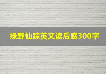 绿野仙踪英文读后感300字