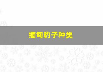 缅甸豹子种类