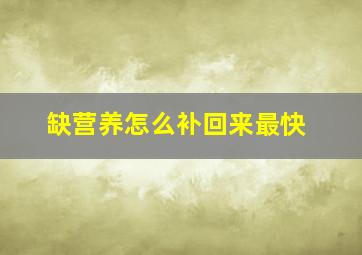 缺营养怎么补回来最快