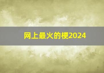 网上最火的梗2024