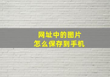 网址中的图片怎么保存到手机