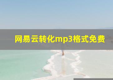 网易云转化mp3格式免费