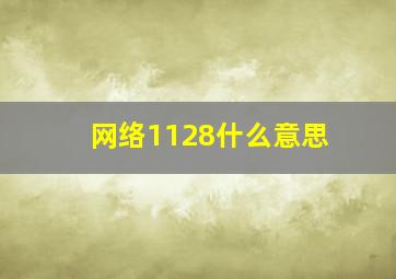 网络1128什么意思