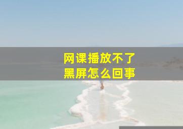 网课播放不了黑屏怎么回事