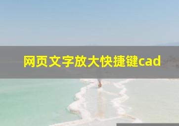 网页文字放大快捷键cad