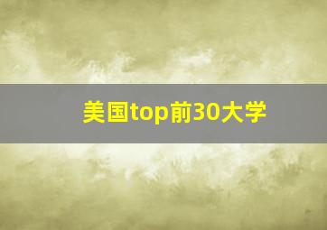 美国top前30大学