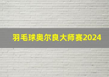 羽毛球奥尔良大师赛2024