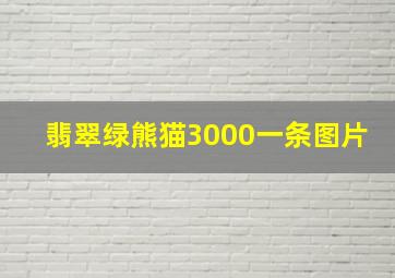 翡翠绿熊猫3000一条图片