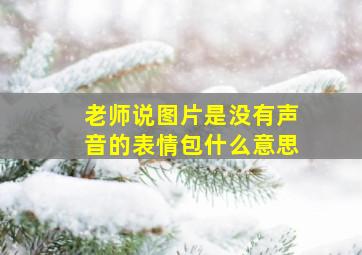 老师说图片是没有声音的表情包什么意思