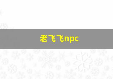 老飞飞npc