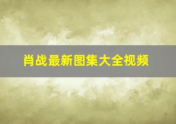 肖战最新图集大全视频