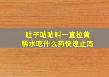 肚子咕咕叫一直拉黄稀水吃什么药快速止泻