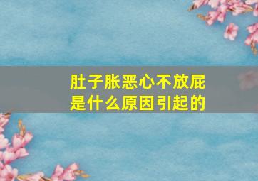 肚子胀恶心不放屁是什么原因引起的