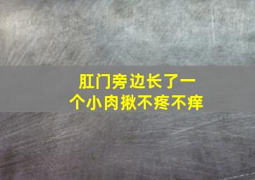 肛门旁边长了一个小肉揪不疼不痒