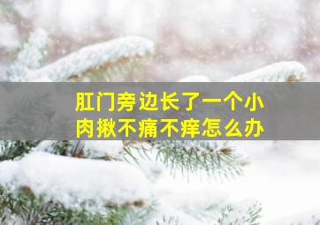 肛门旁边长了一个小肉揪不痛不痒怎么办