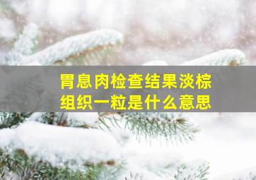 胃息肉检查结果淡棕组织一粒是什么意思