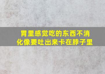 胃里感觉吃的东西不消化像要吐出来卡在脖子里