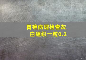 胃镜病理检查灰白组织一粒0.2