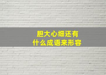 胆大心细还有什么成语来形容