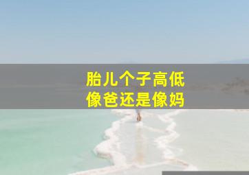 胎儿个子高低像爸还是像妈