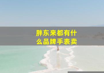 胖东来都有什么品牌手表卖