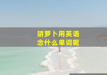 胡萝卜用英语念什么单词呢