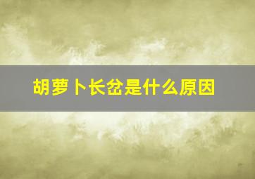 胡萝卜长岔是什么原因