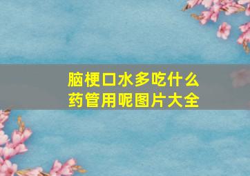 脑梗口水多吃什么药管用呢图片大全