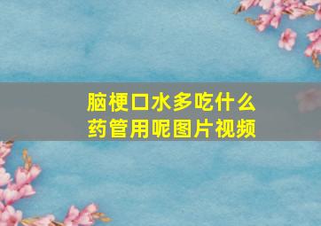 脑梗口水多吃什么药管用呢图片视频