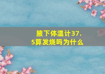 腋下体温计37.5算发烧吗为什么