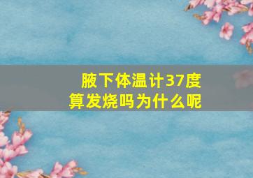 腋下体温计37度算发烧吗为什么呢