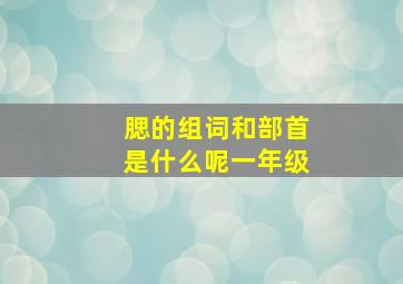 腮的组词和部首是什么呢一年级