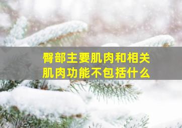 臀部主要肌肉和相关肌肉功能不包括什么