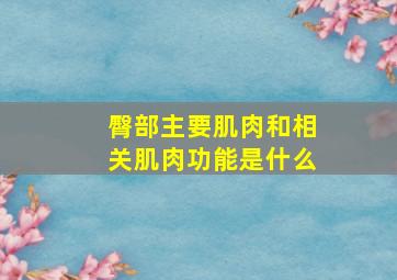 臀部主要肌肉和相关肌肉功能是什么