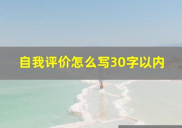 自我评价怎么写30字以内